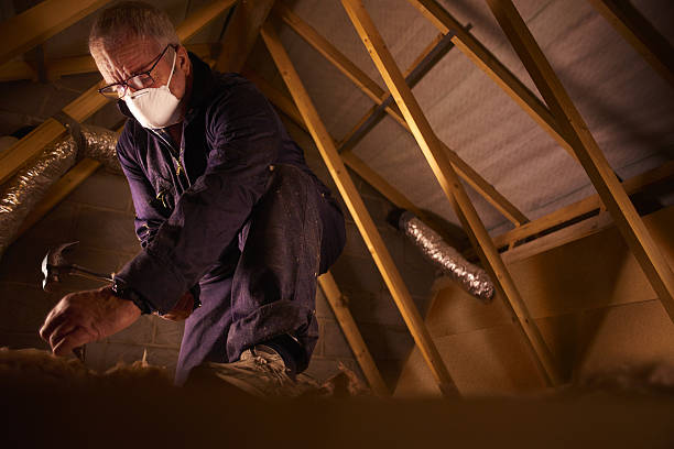 Best Specialized Insulation Services in Bethel Island, CA